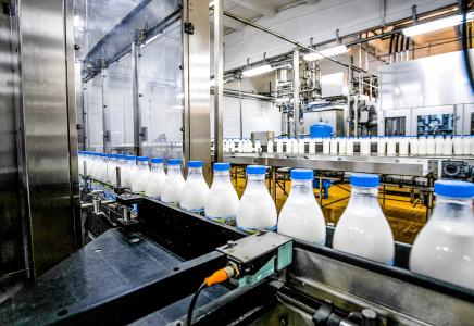 milk processing